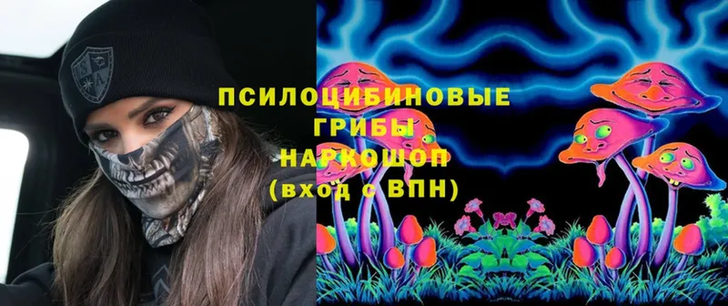 Псилоцибиновые грибы Cubensis  гидра tor  Ишимбай 